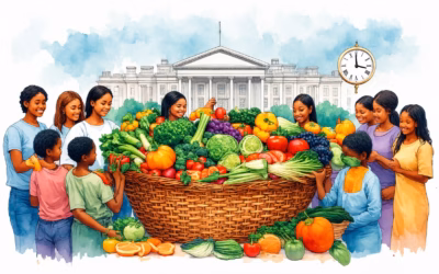 Understanding Government Food Stamp Assistance: Eligibility, Benefits, and Application Process Explained