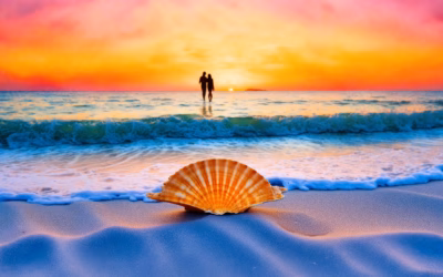 Navigating Your Options: How to File for Divorce in Florida Without a Lawyer and Save on Costs